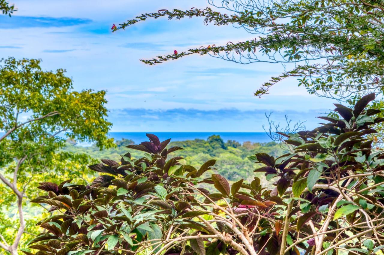 Hotel Casa Conley Del Mar Puerto Viejo de Talamanca Εξωτερικό φωτογραφία