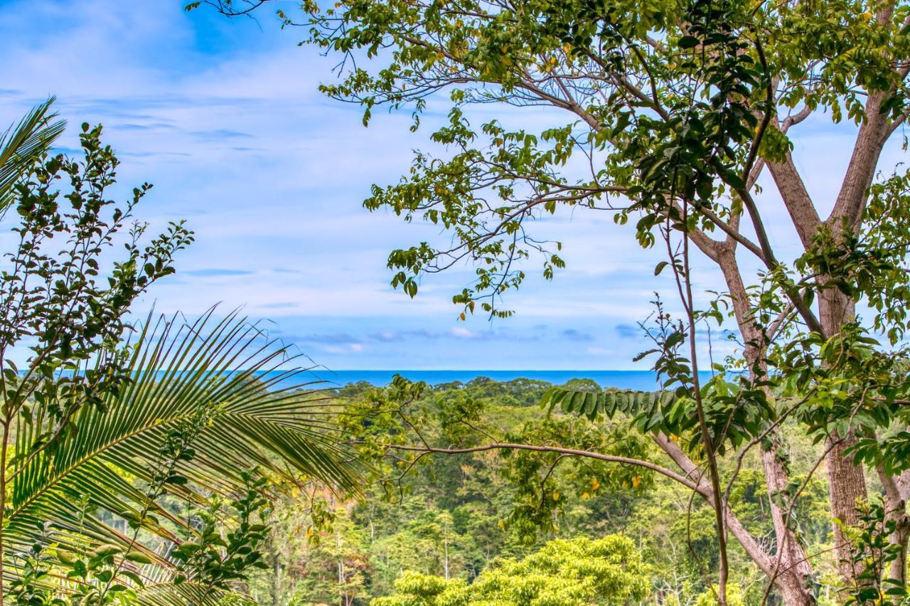 Hotel Casa Conley Del Mar Puerto Viejo de Talamanca Εξωτερικό φωτογραφία